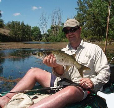 2500_spooled.com.au_Pinkeye Mullet_Trachystoma petardi.jpg